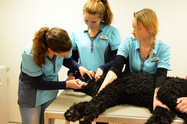 Donatie_1
