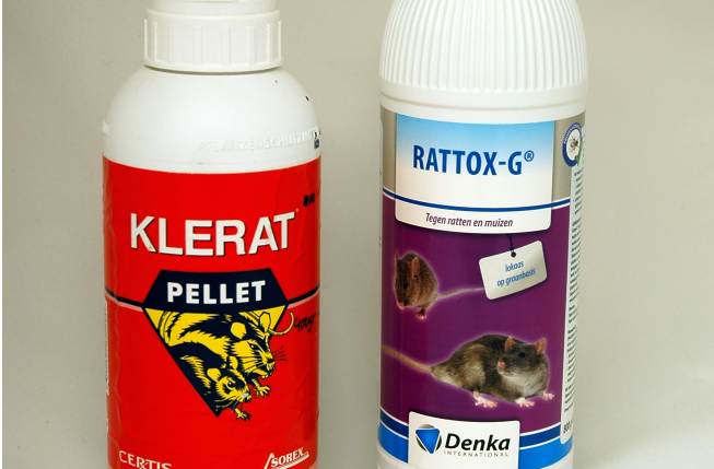 Rattengif