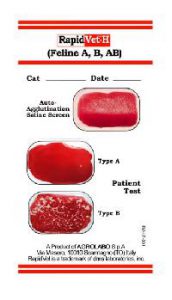 rapidvet-h-feline-rapid-test-for-feline-1015175